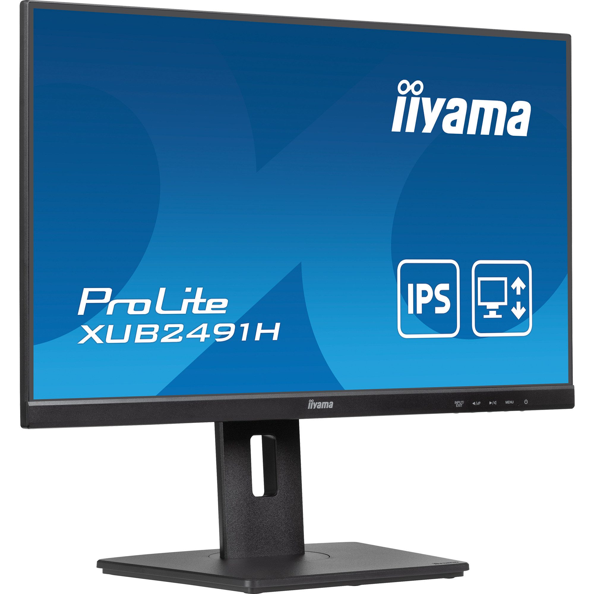 Iiyama iiyama ProLite XUB2491H-B1, LED-Monitor, (FullHD, TFT-Monitor (1920 x 1080 px)