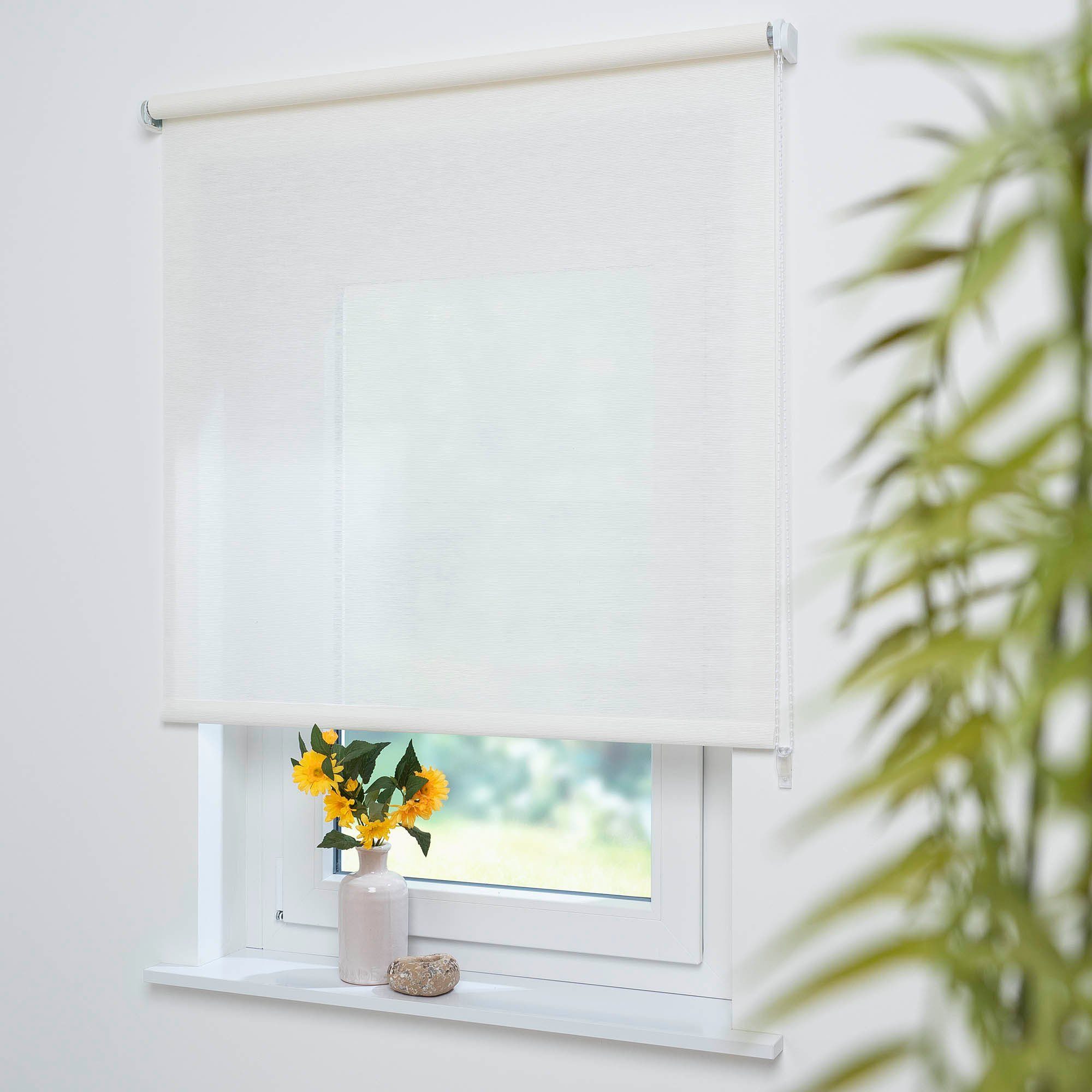 Seitenzugrollo Dekor Struktur, Liedeco, Lichtschutz, mit Bohren, verschraub günstig online kaufen