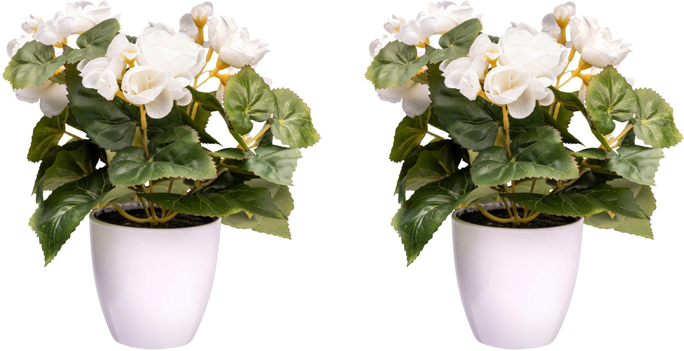 Kunstblume Begonienbusch Begonie, Creativ green, Höhe günstig online kaufen