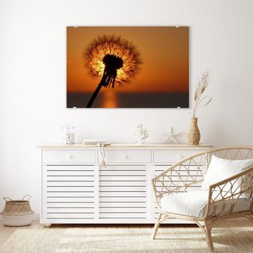 Primedeco Glasbild Wandbild Löwenzahn im Sonnenlicht mit Aufhängung, Blumen
