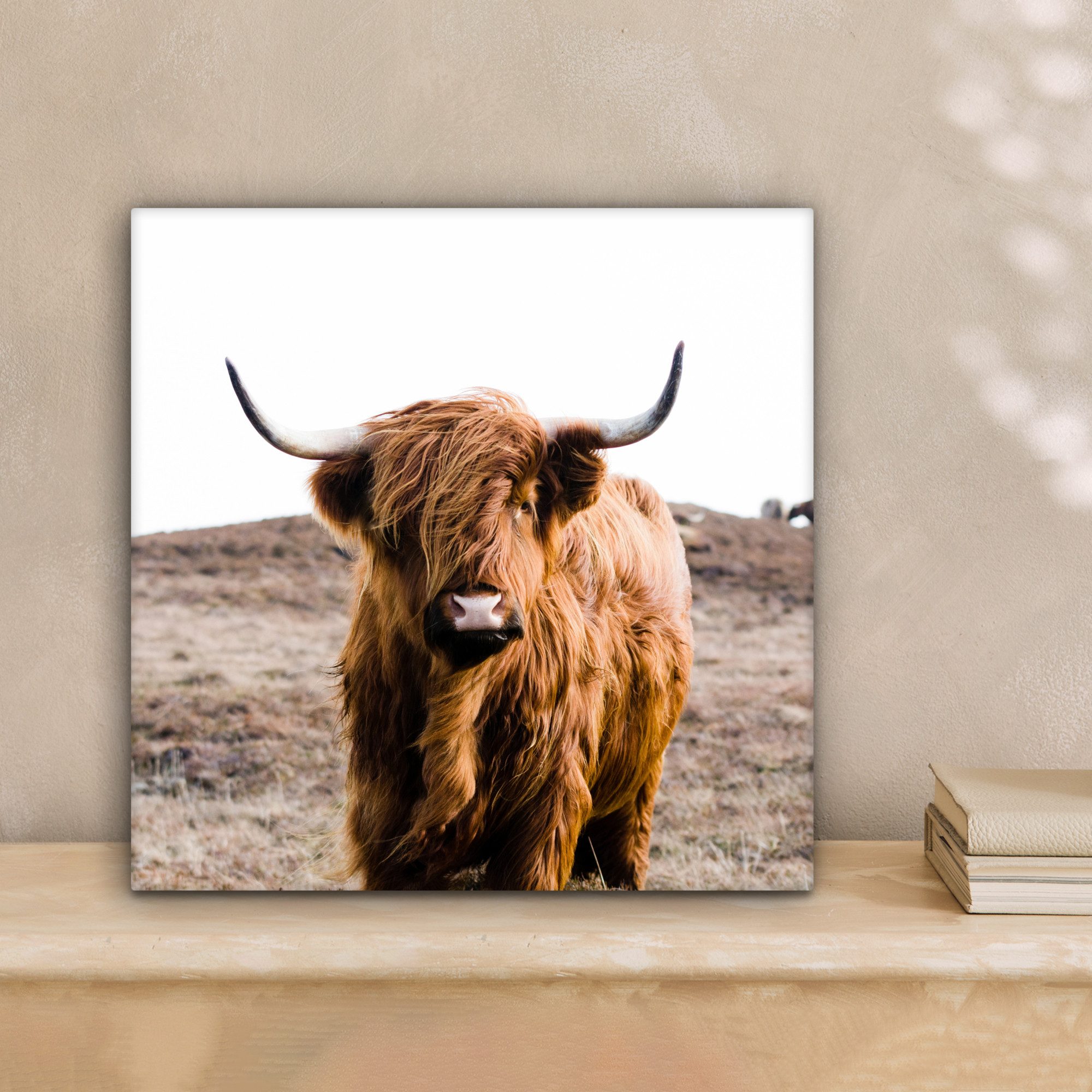 OneMillionCanvasses® Leinwandbild Schottische Highlander - Landschaft - Kuh günstig online kaufen
