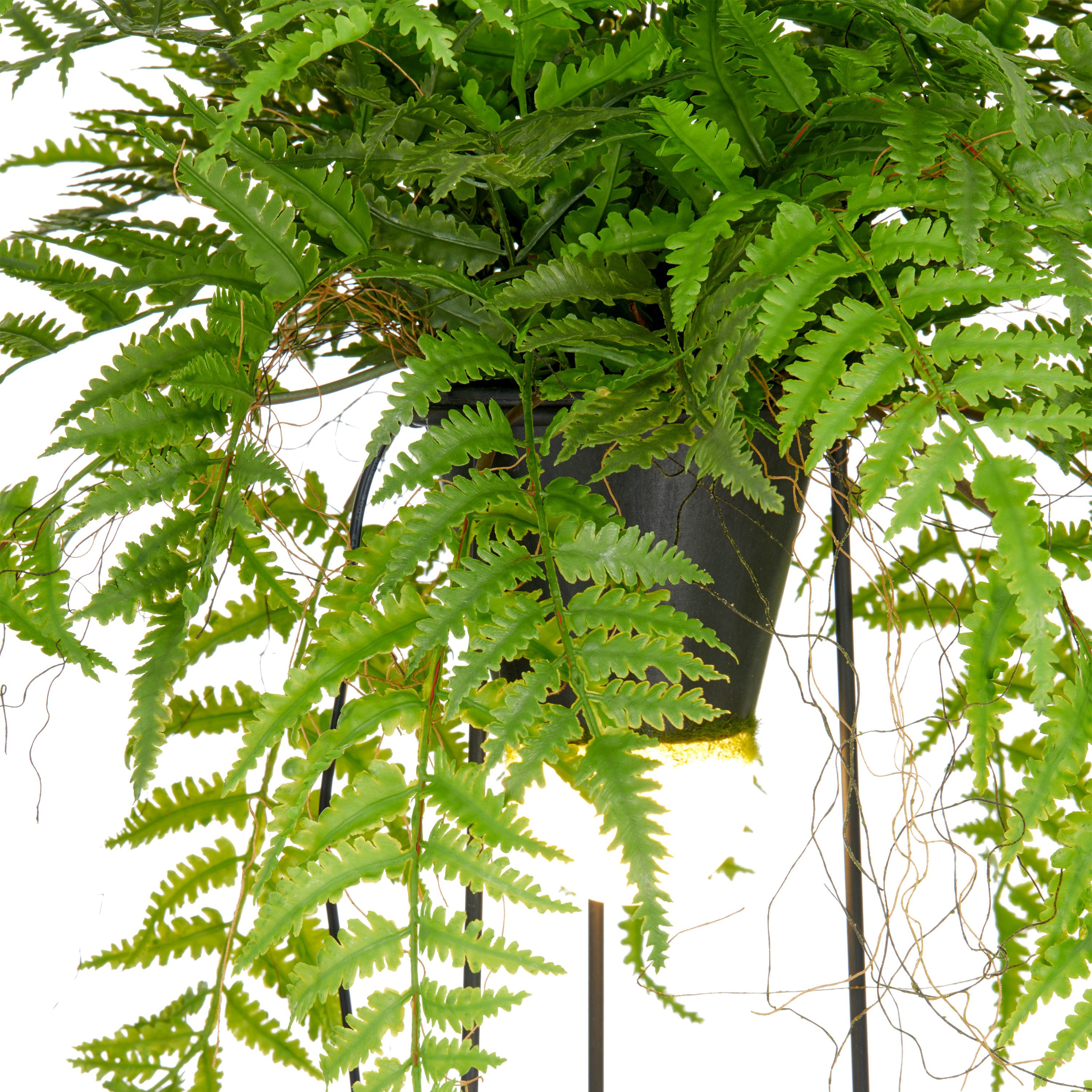 Kunstpflanze Farn als Dekostandleuchte, Creativ green, Höhe 60 cm, mit LED- günstig online kaufen
