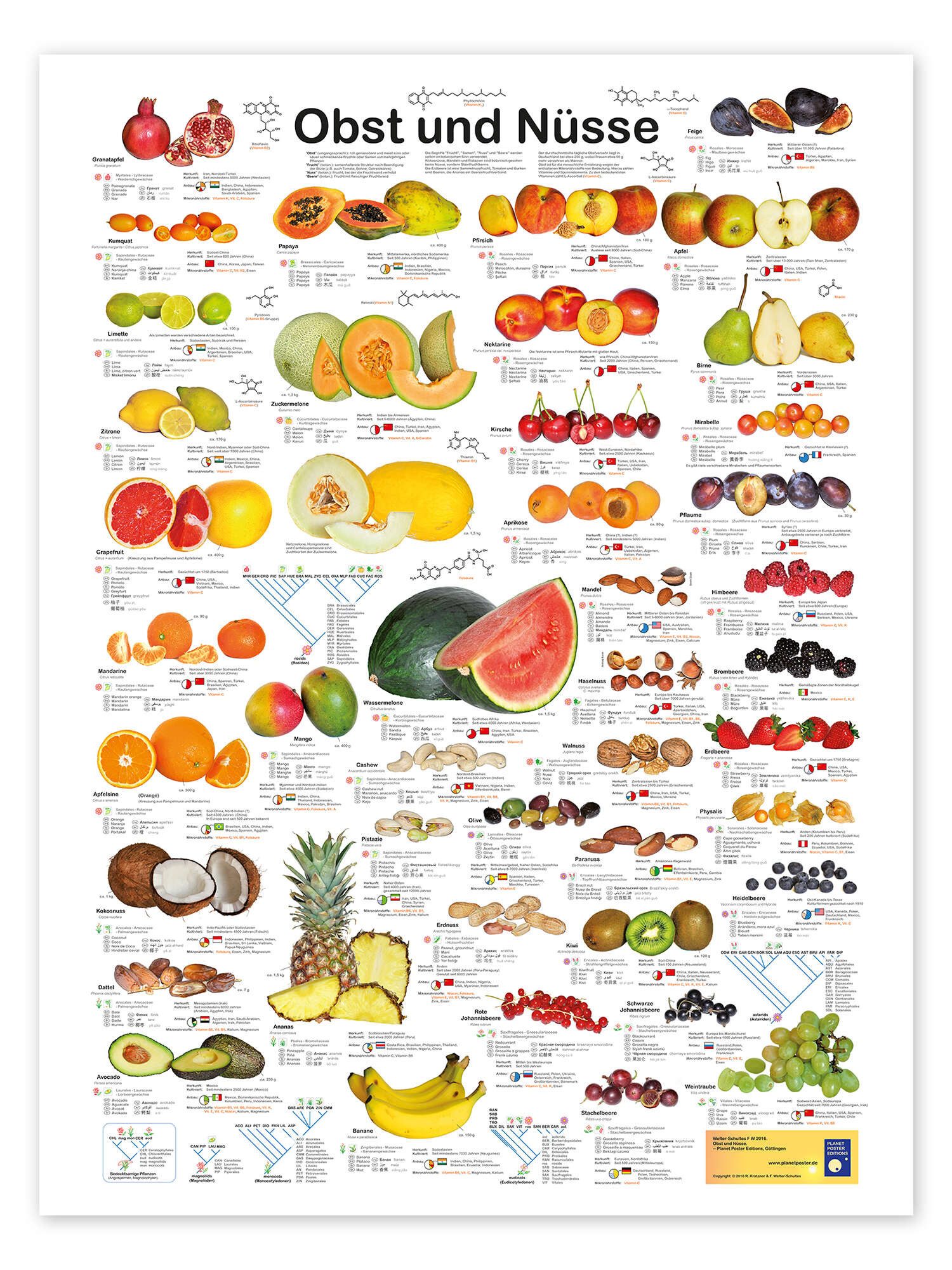 Posterlounge Poster Planet Poster Editions, Obst günstig online kaufen