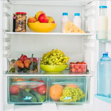 relaxdays Frischhaltedose 2x Kühlschrank Organizer mit Griffen, Kunststoff