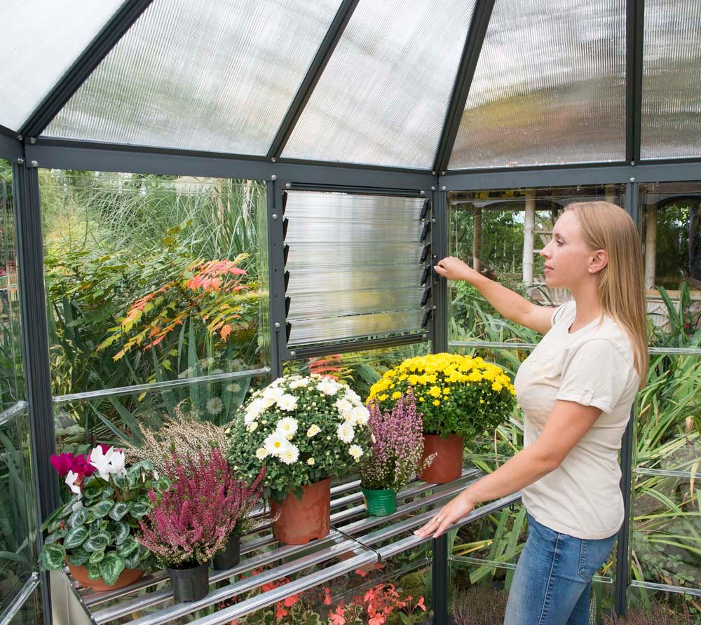 Palram - Canopia Gewächshaus, 245 cm x ...