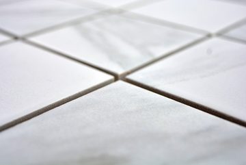 Mosani Mosaikfliesen Keramik Mosaik Fliese Carrara weiß grau Bad Küche