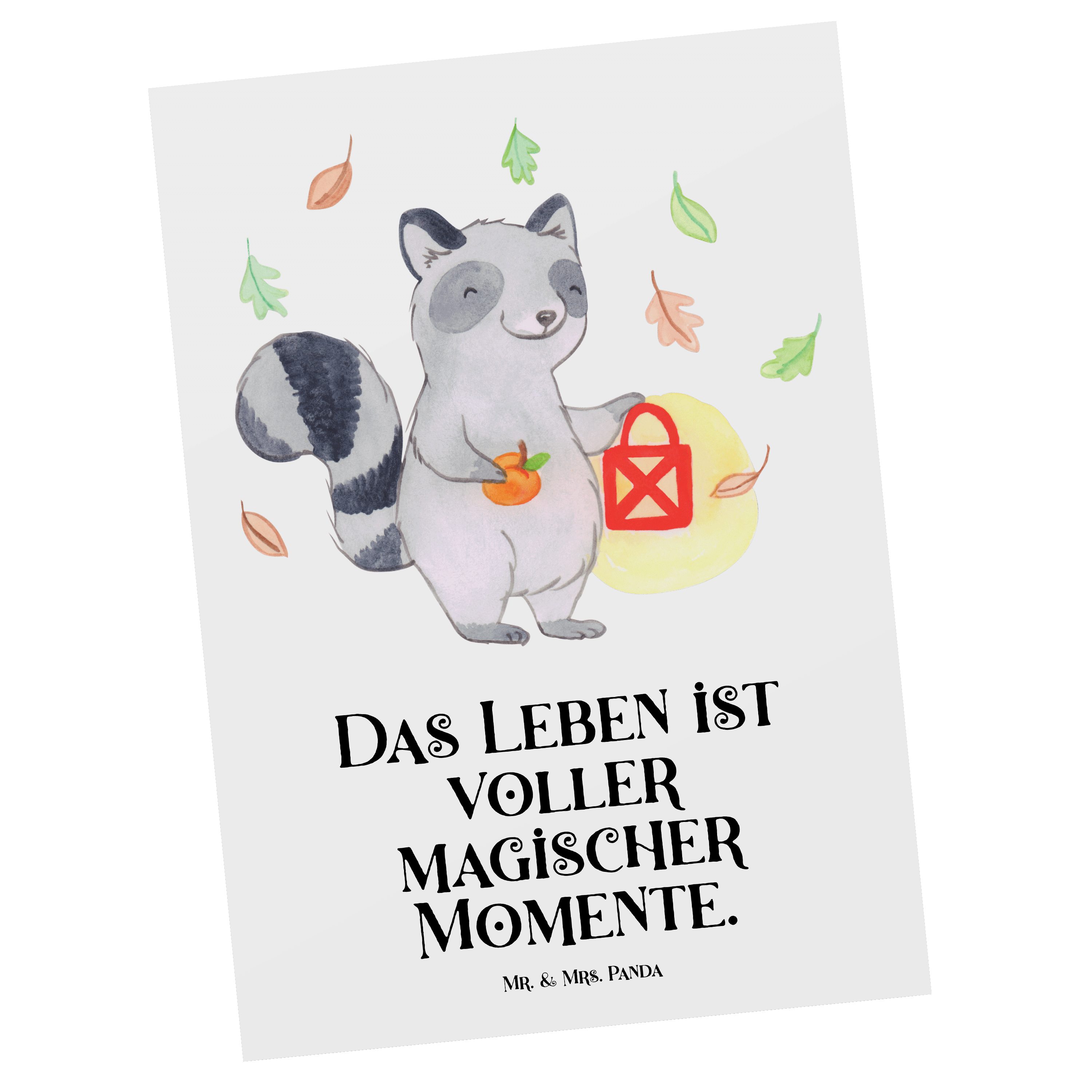 Mr. & Mrs. Panda Postkarte Waschbär Laterne - Weiß - Geschenk, Geschenkkarte, Einladung, Hallowe