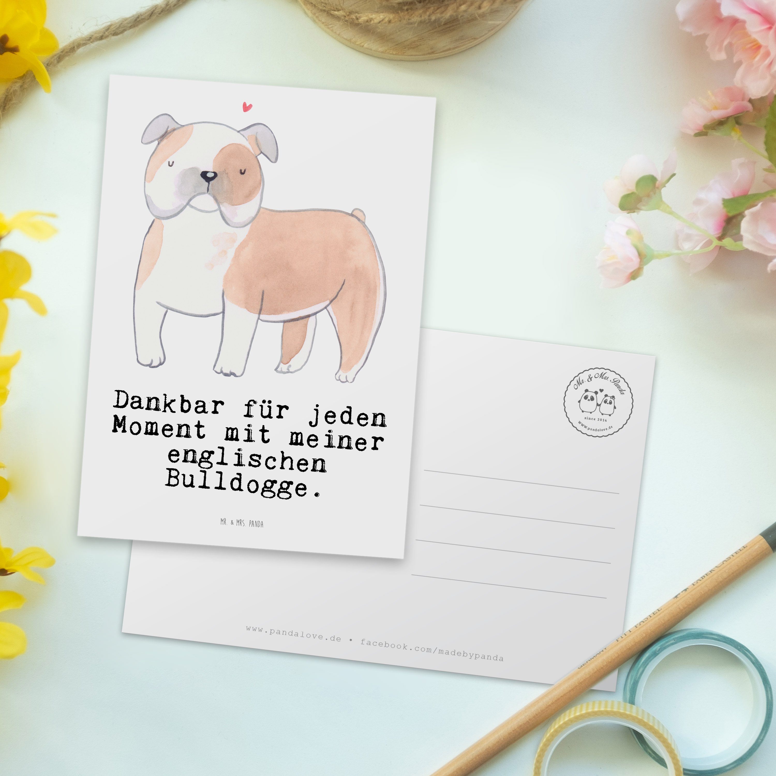 - Dankeskarte, - Englische Geschenk, Ansi Mrs. Weiß Bulldogge & Moment Postkarte Panda Mr. Hund,