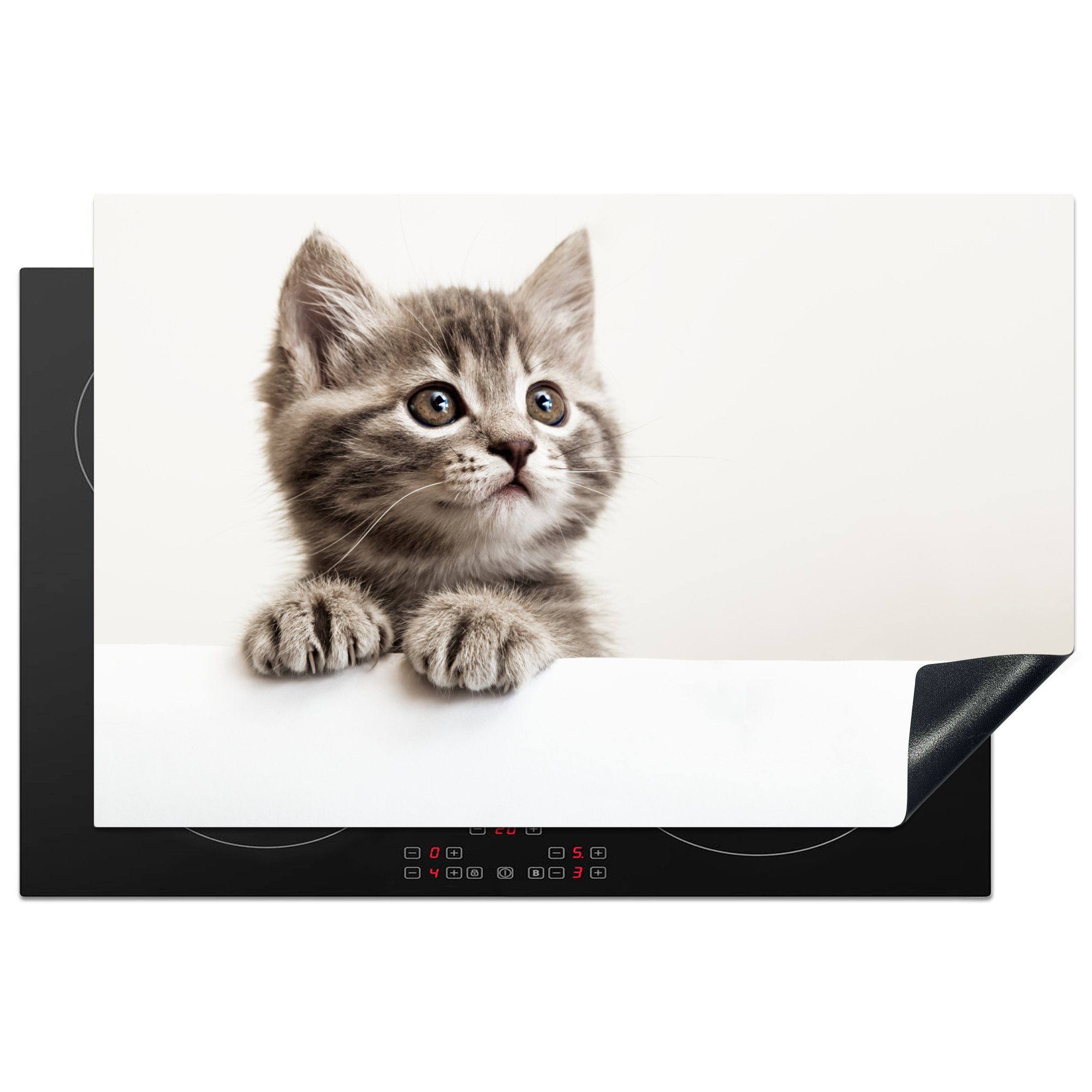 MuchoWow Herdblende-/Abdeckplatte Katze - Grau - Tiere, Vinyl, (1 tlg), 81x52 cm, Induktionskochfeld Schutz für die küche, Ceranfeldabdeckung