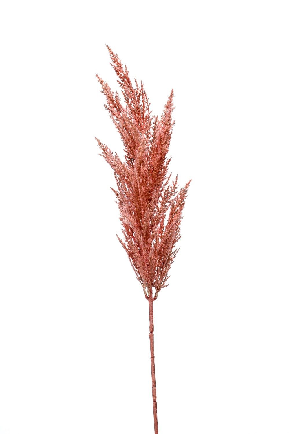 Kunstzweig Dekozweig Pampas Gras Rispe BATERNO, rosa, 90cm Pampasgras, artplants