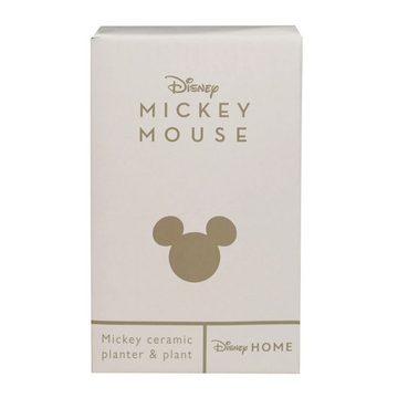 Widdop & Co Blumentopf Micky Maus - Disney