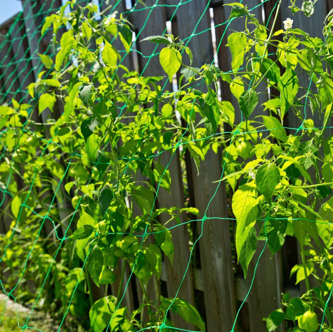 Windhager Rankhilfe, Ranknetz aus starken Monofilament-Kunststofffäden