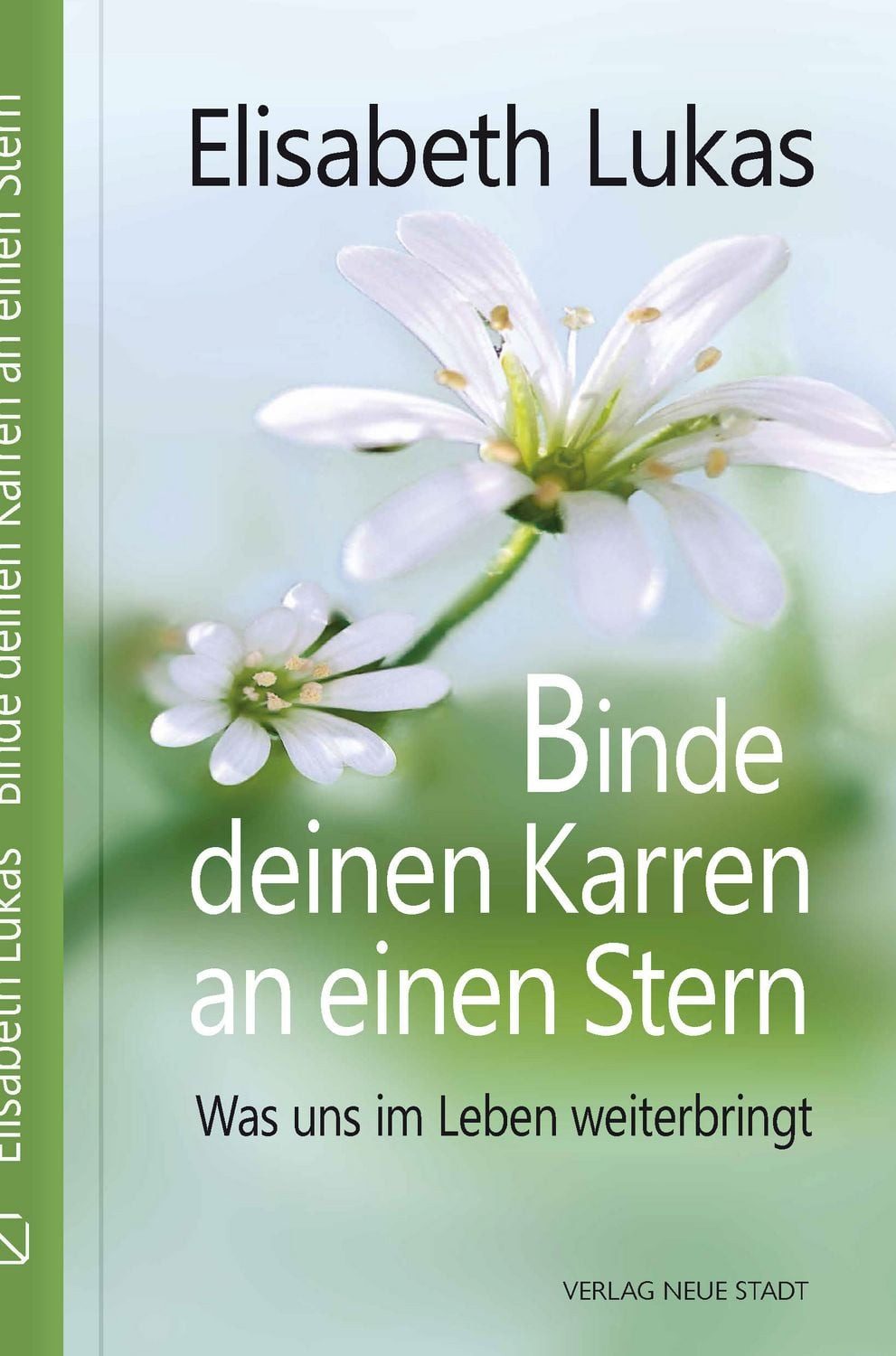 Binde deinen Karren an einen Stern / Elisabeth Lukas
