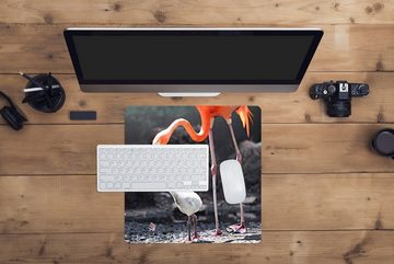 MuchoWow Gaming Mauspad Mutter Flamingo füttert ihr Baby (1-St), Mousepad mit Rutschfester Unterseite, Gaming, 40x40 cm, XXL, Großes