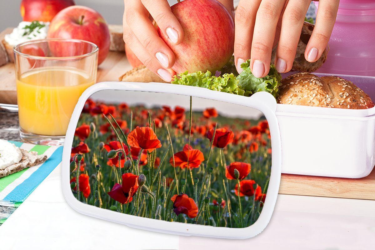 MuchoWow Lunchbox Blumen - und Erwachsene, Kinder Brotbox Brotdose, Mohnblumen Kunststoff, Jungs für - Mädchen - weiß Rot, für (2-tlg), Natur und