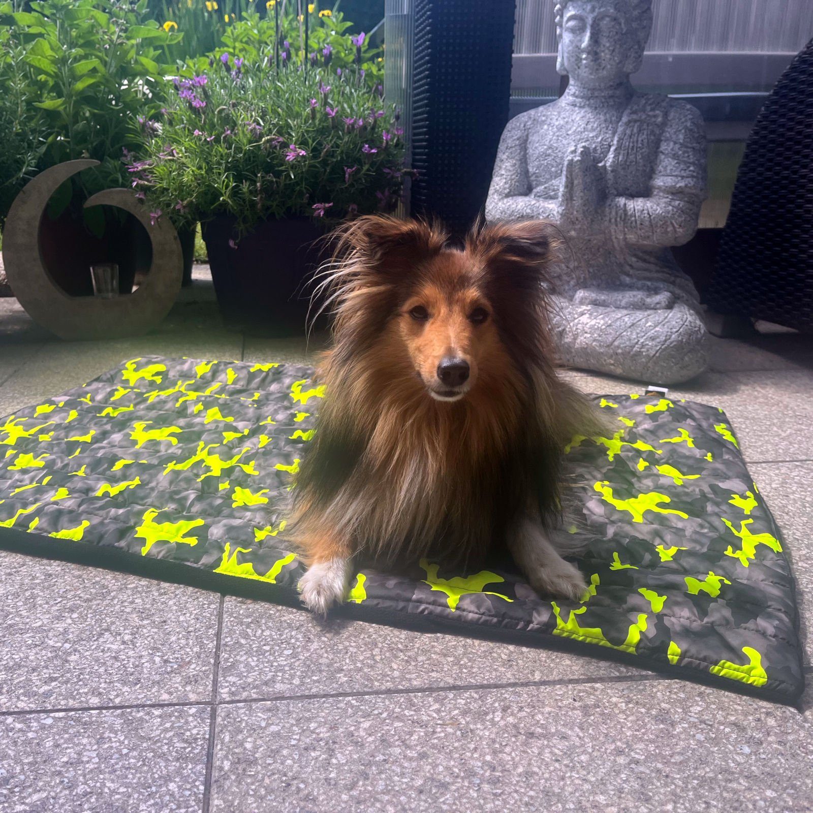 Fashion Dog Tierdecke Double-Face Hundedecke, 100 günstig online kaufen