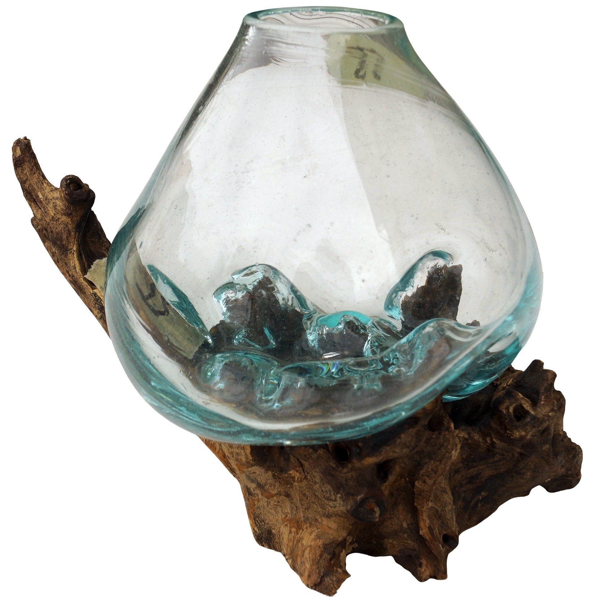 Guru-Shop Dekovase Wurzelholz Vase - 1 * Ø Glas bis 10 cm günstig online kaufen