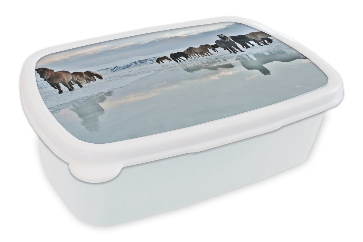 MuchoWow Lunchbox Pferde - Eis - Schnee, Kunststoff, (2-tlg), Brotbox für Kinder und Erwachsene, Brotdose, für Jungs und Mädchen weiß
