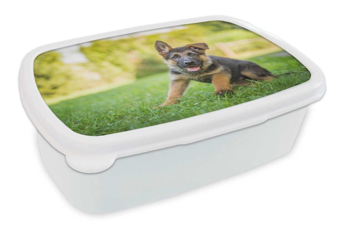 MuchoWow Lunchbox Welpe sitzt Erwachsene, Gras, Mädchen Brotbox weiß im Kinder Kunststoff, und für (2-tlg), für Brotdose, Jungs und
