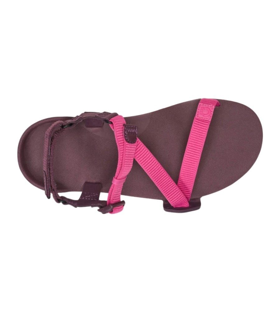 Xero Shoes Z-Trail EV fuchsia/purple Damen Sandale