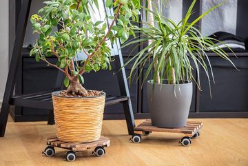 Meister Werkzeuge Pflanzenroller Pflanzenroller Blumentopf Transportroller Holz ø30cm 60kg Innenbereich