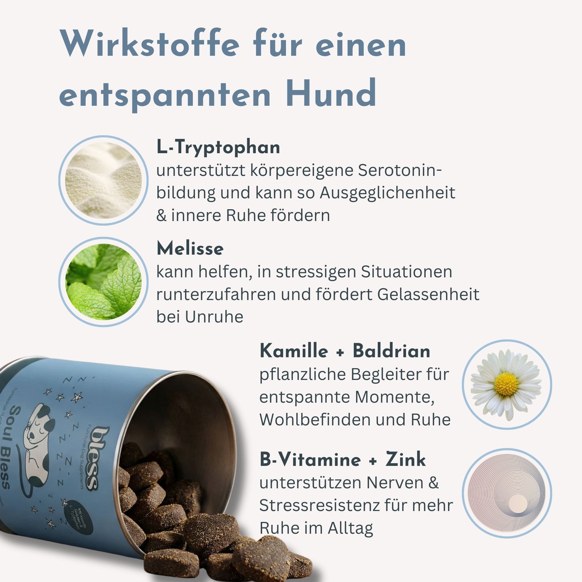 Bless Beruhigungs-Snack für Hunde (Soul Bless) – mit L-Tryptophan & Baldrian, Nahrungsergänzungsmittel für: Hunde, mit Insektenprotein (allergikerfreundlich)