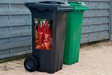 MuchoWow Wandsticker Leuchtend rote Farben der Amaranth-Pflanze in einem Wald (1 St), Mülleimer-aufkleber, Mülltonne, Sticker, Container, Abfalbehälter