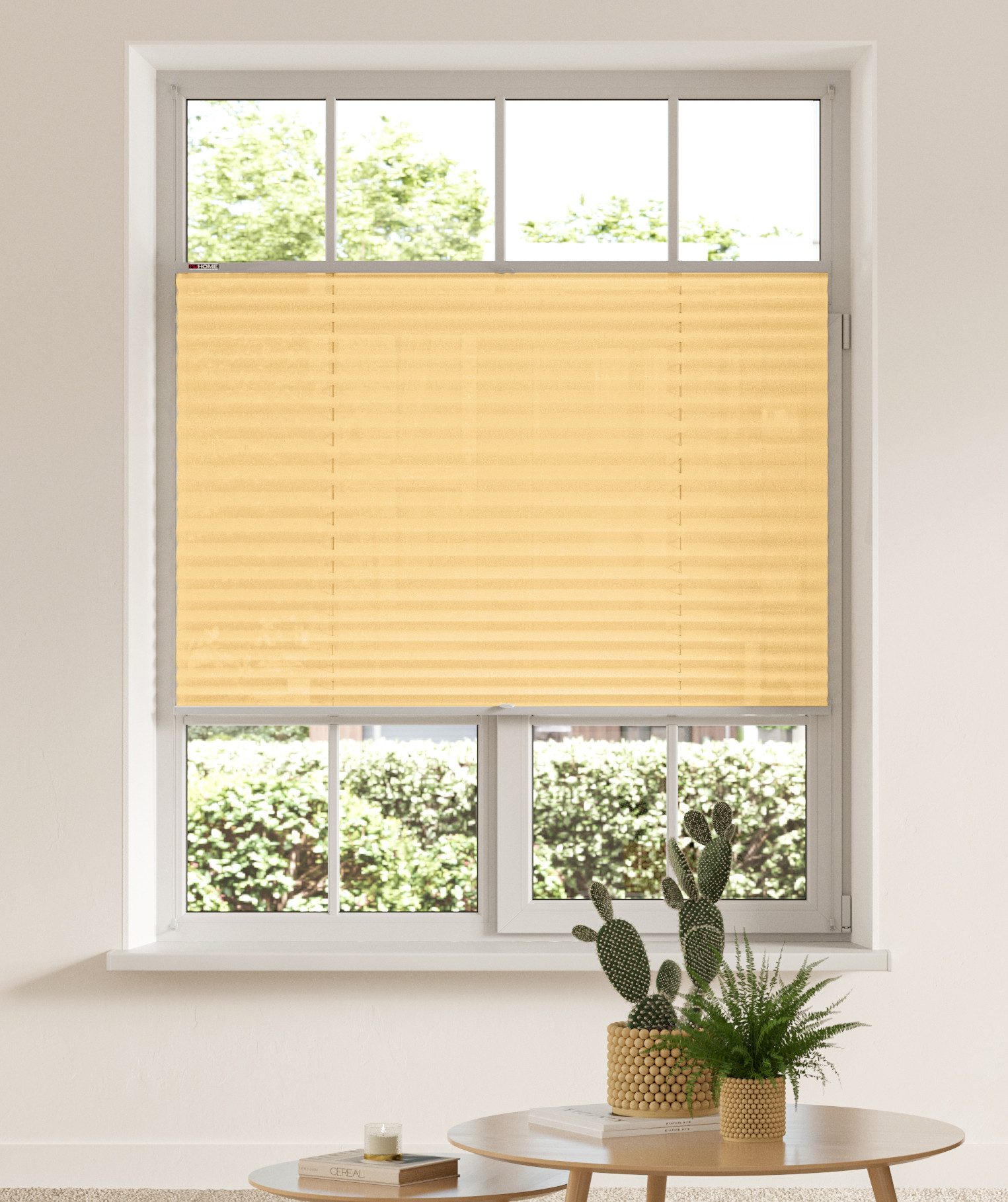 my home Plissee LAHOLM, Lichtschutz, ohne Bohren, verspannt, Klemmfix, Fixm günstig online kaufen