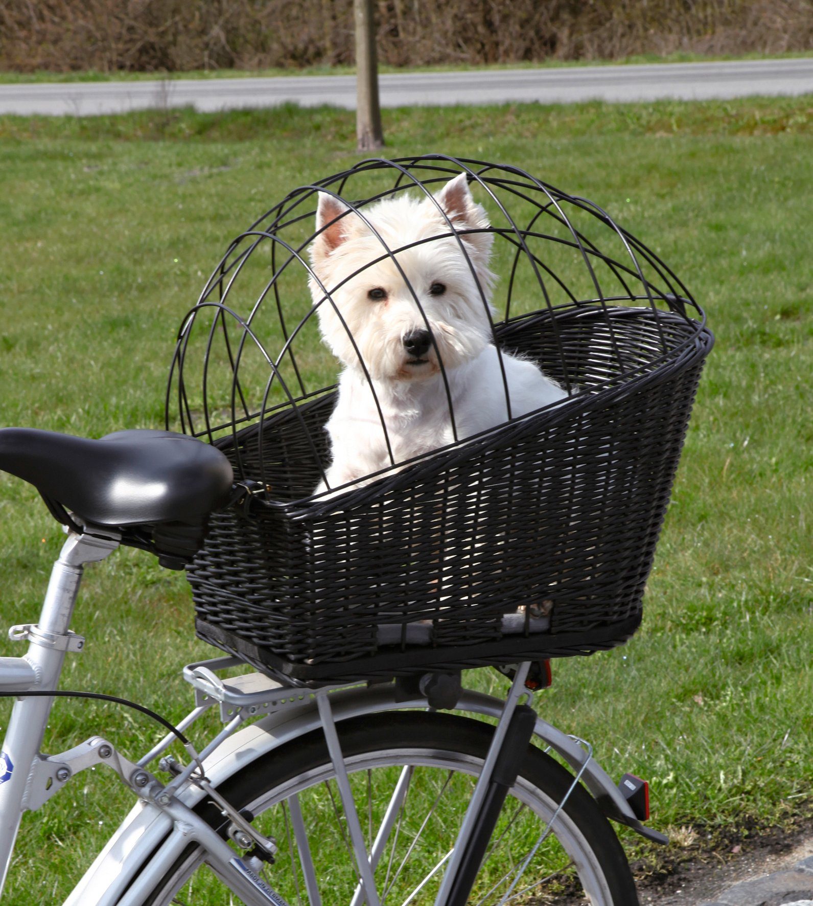 TRIXIE Tierfahrradkorb »Großer Weiden - Fahrradkorb, inkl. Kissen« bis 8,00  kg, mit Kissen