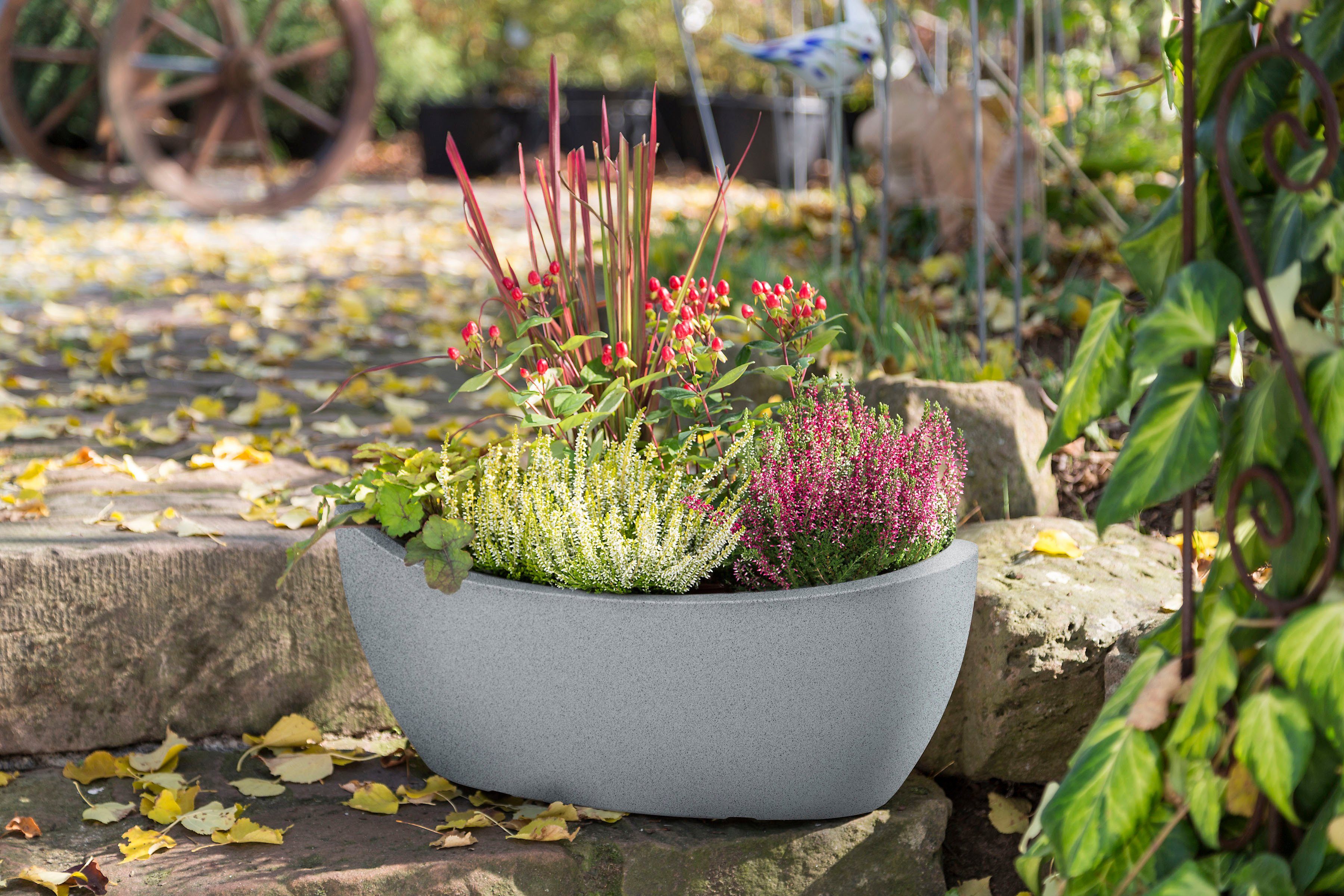 Scheurich grau WA.GLOBE Jardiniere 58/253