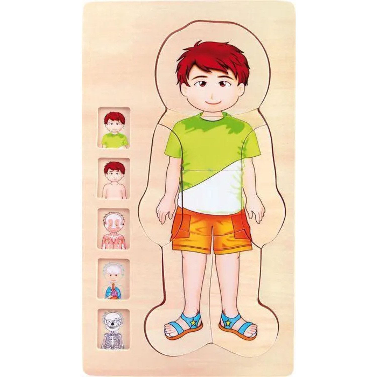 Small Foot Puzzle Schichtenpuzzle Anatomie Junge, Puzzleteile