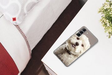 MuchoWow Handyhülle Malteser Hund Porträt, Phone Case, Handyhülle Samsung Galaxy S21 Plus, Silikon, Schutzhülle