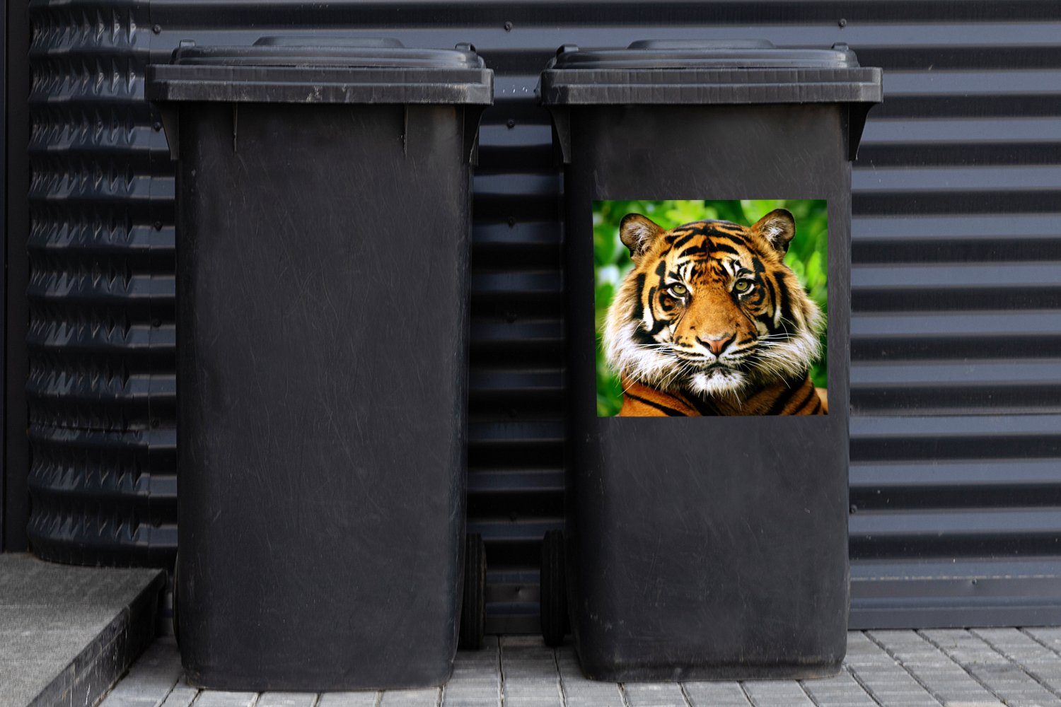 Wandsticker Sticker, St), Abfalbehälter Mülltonne, Kopf Mülleimer-aufkleber, Tiger - (1 MuchoWow - Container, Wald