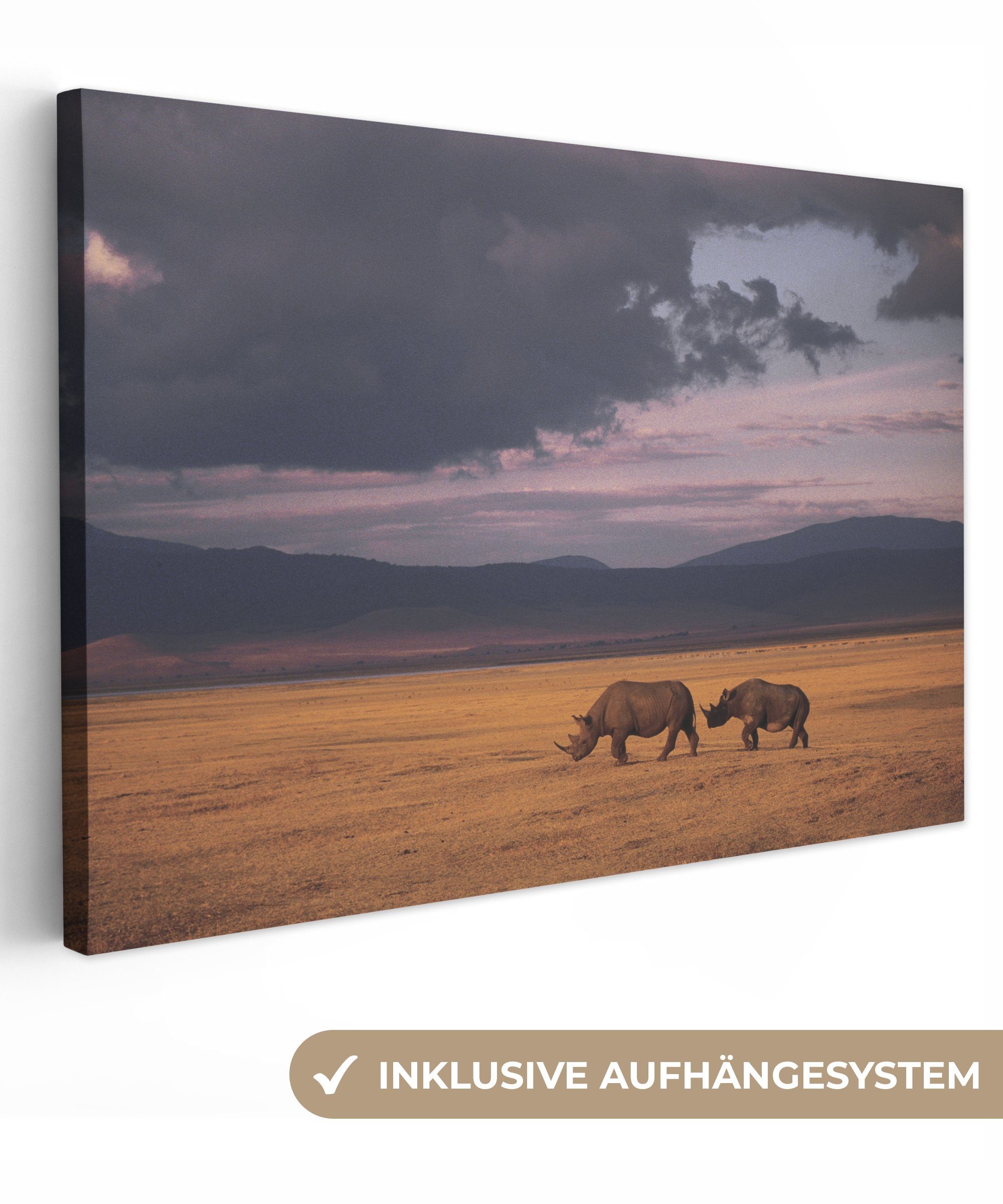 OneMillionCanvasses® Leinwandbild Nashörner - Safari, (1 St), Wandbild Leinwandbilder, Aufhängefertig, Wanddeko, 30x20 cm