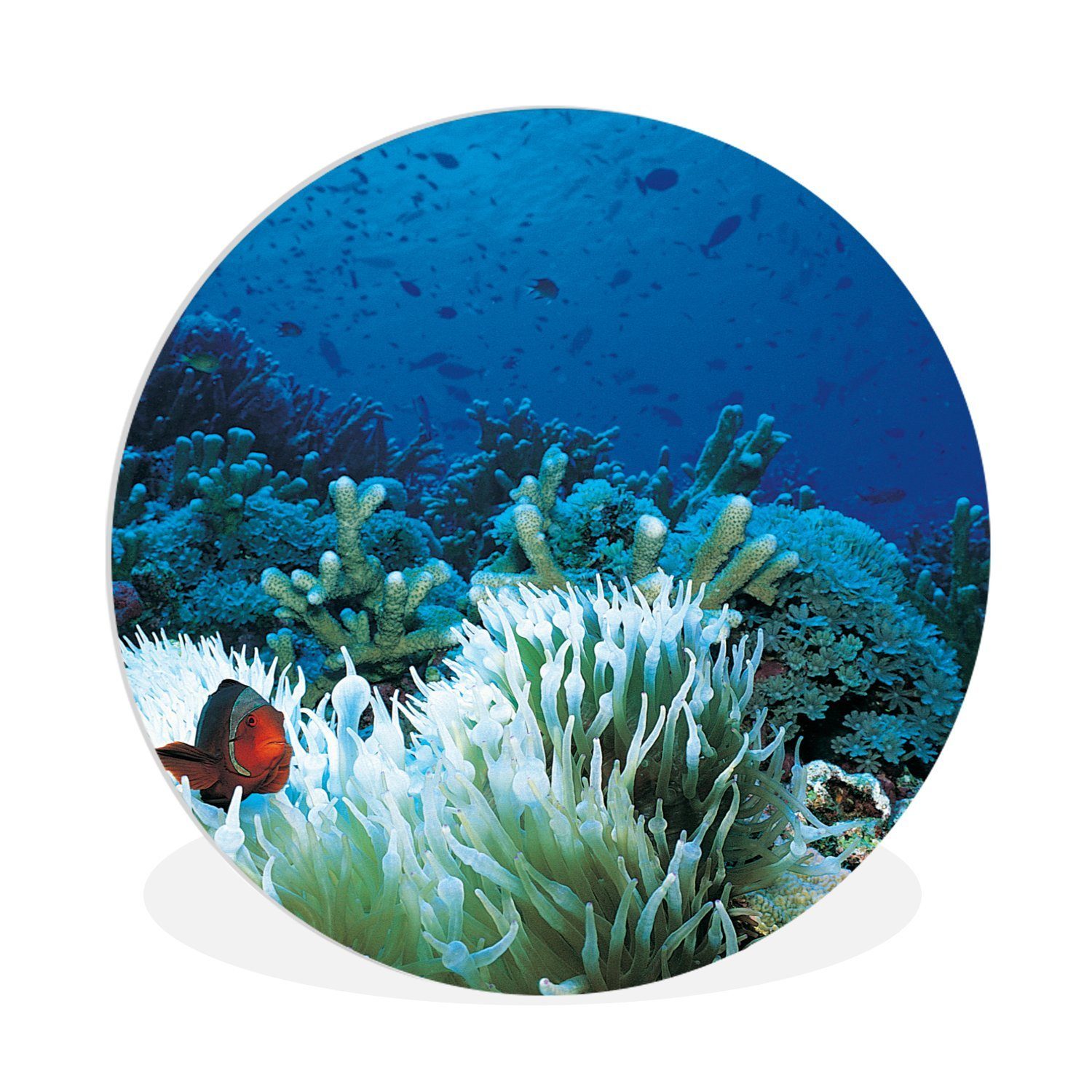 Gemälde Unterwasserwelt mit Clownfischen