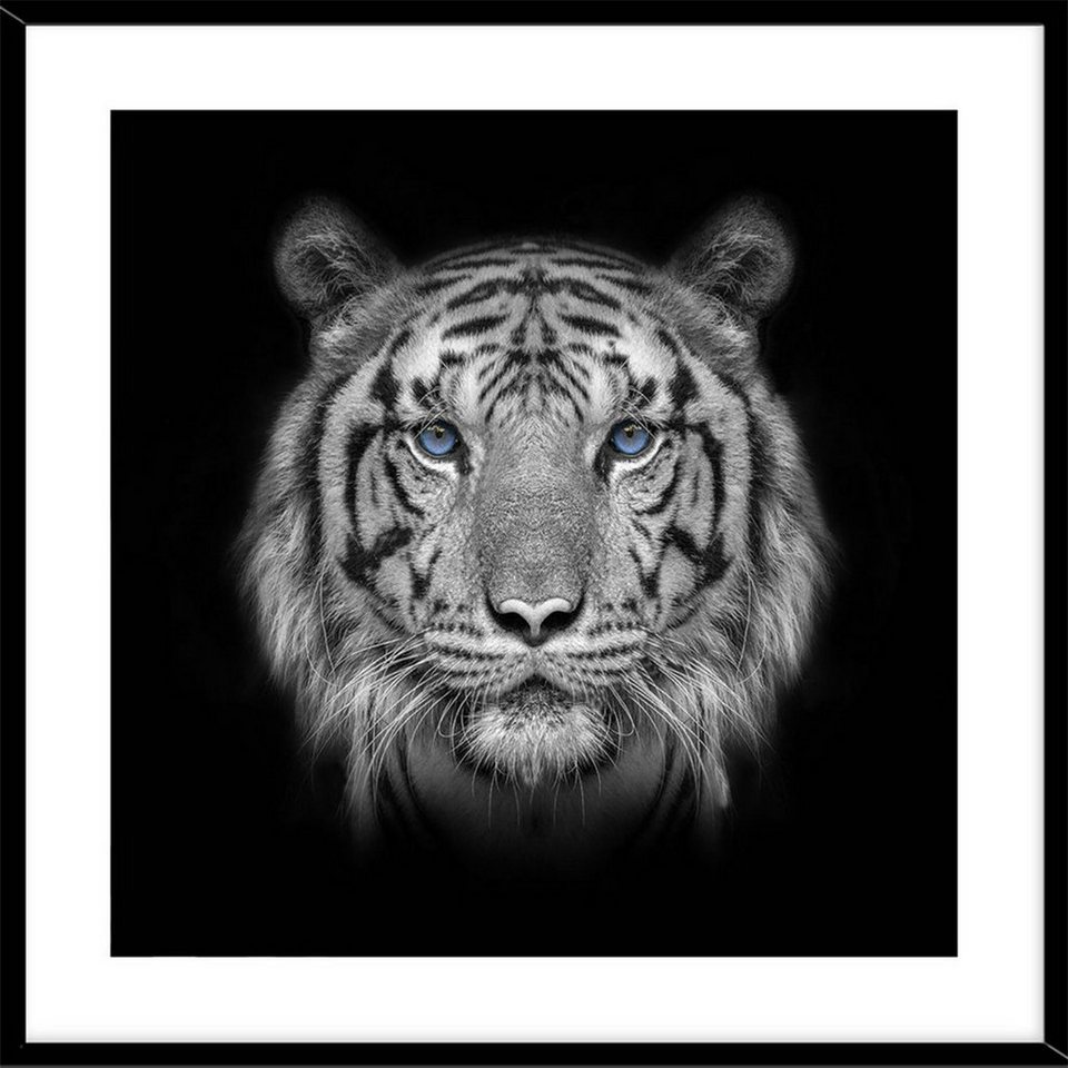HTI-Line Kunstdruck Bild Wildlife, Wanddekoration schwarz weiß, Stilvolle  Dekoration