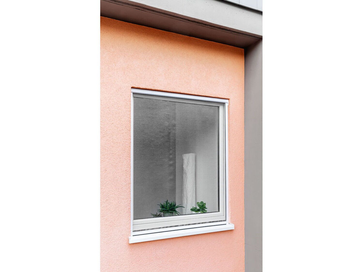 Insektenschutzrollo Fenster Fliegengitter Rollo Insektenschutz 130x160 günstig online kaufen