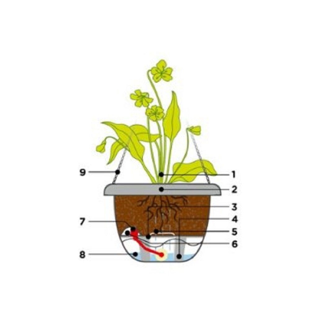 St) Mareta hell- (1 PLASTIA /dunkelgrün, Blumentopf 580091 25cm