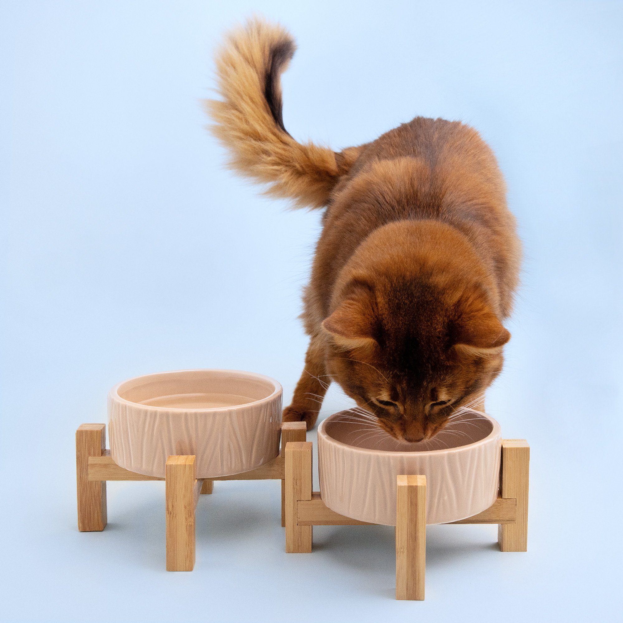 Navaris Napf-Set, Keramik, 2x Futternapf Katze mit Bambus Halter -  Futterstation 2x Keramiknapf für Katzen Hunde - Keramik Fressnapf Set  Futterbar mit Holz Halterung online kaufen | OTTO