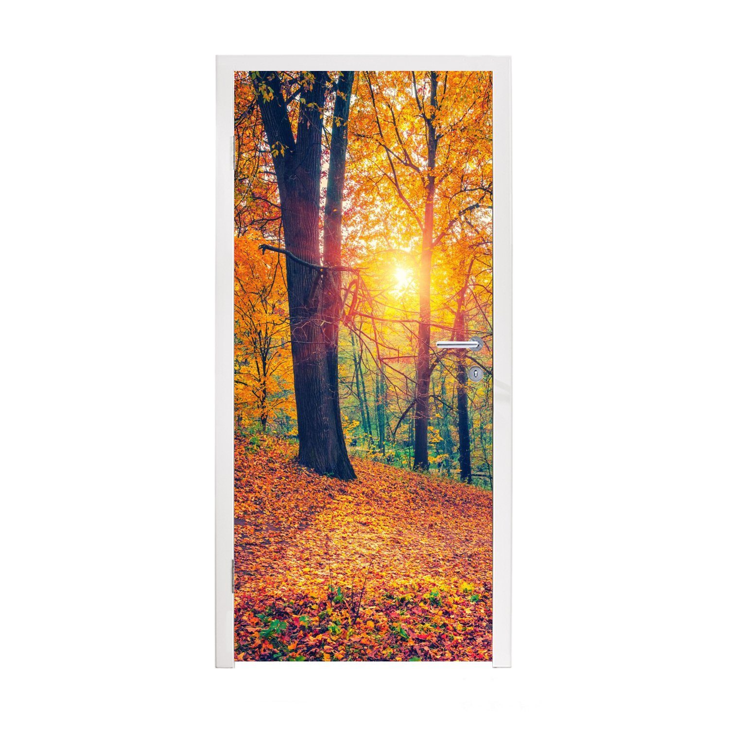 Blätter, 75x205 für Matt, bedruckt, - MuchoWow Wald Herbst Herbstliche Tür, Fototapete - cm (1 Bäume Türtapete St), Türaufkleber, -