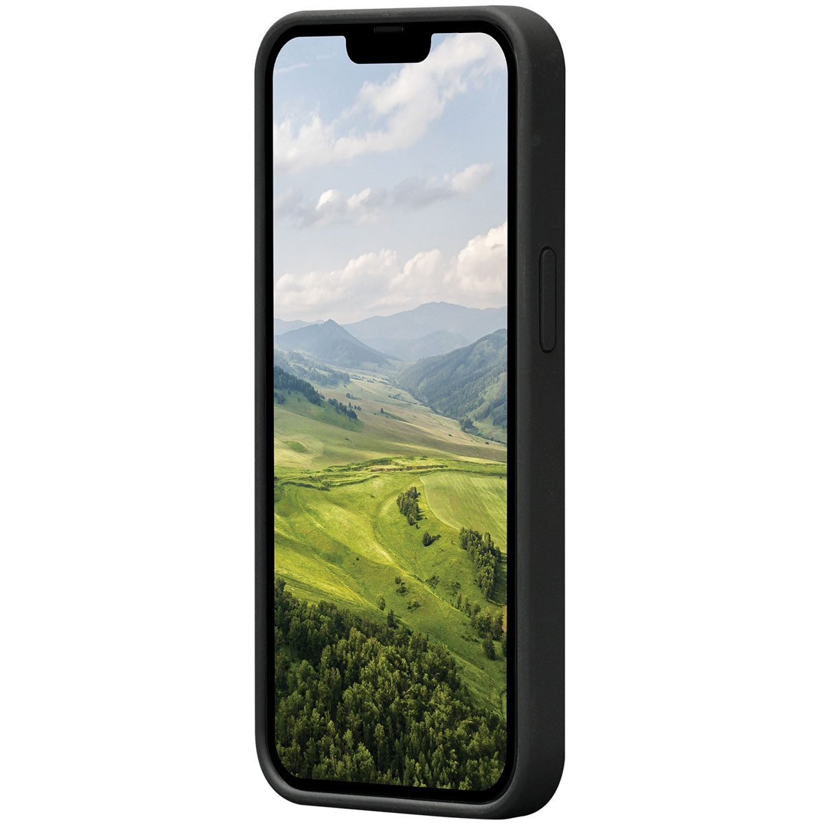 dbramante1928 Backcover dbramante1928 Greenland Backcover für das Apple iPhone 14 Pro - Schwar