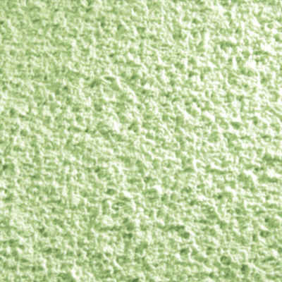 FLOXXAN Baumwollputz Colorado 118 (Baumwolle - Pastell Grün) Putz Tapete Flüssigtapete Pastell-grün, 1Kg - hergestellt in Deutschland