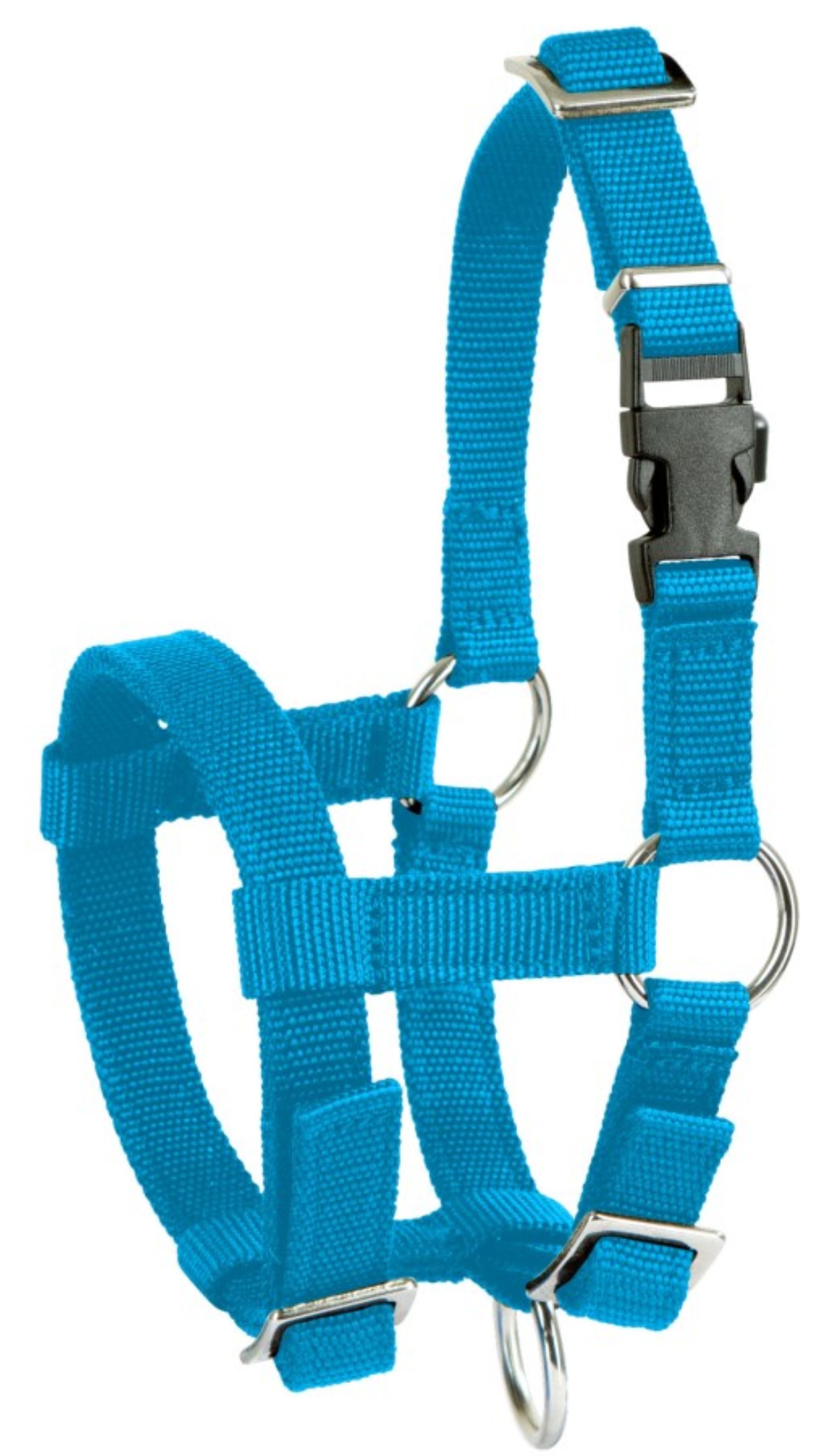 Kerbl Halfter Kerbl Alpaka-Halfter verstellbar, blau, 20mm - 27183