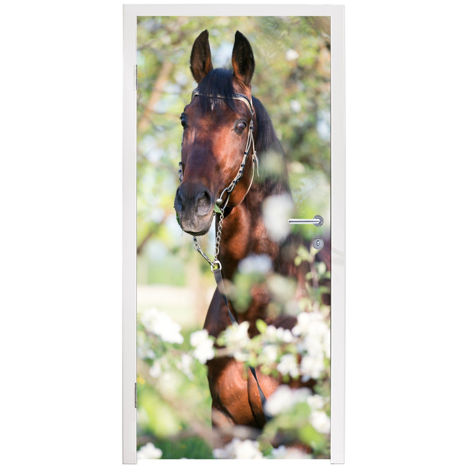 Türtapete Tür, Blüte für 75x205 - Türaufkleber, St), Tiere, bedruckt, Pferde (1 cm MuchoWow - Fototapete Matt, - Frühling