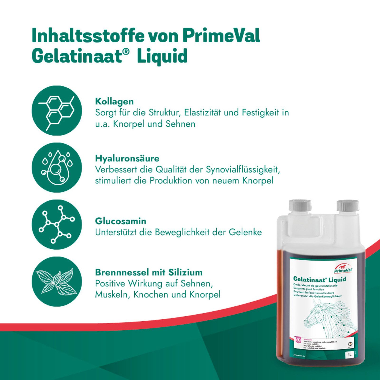 PrimeVal Gelatinaat Liquid für Pferde, Zur Unterstützung der Gelenkbeweglic..., Ergänzungsfutter für: Pferde