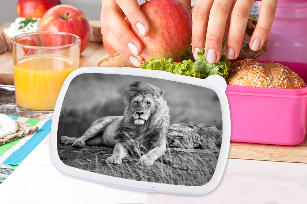 Wild Snackbox, Mädchen, rosa Brotdose MuchoWow Schwarz Lunchbox Weiß, Kinder, Erwachsene, Kunststoff, Brotbox - (2-tlg), Kunststoff Löwen - für -