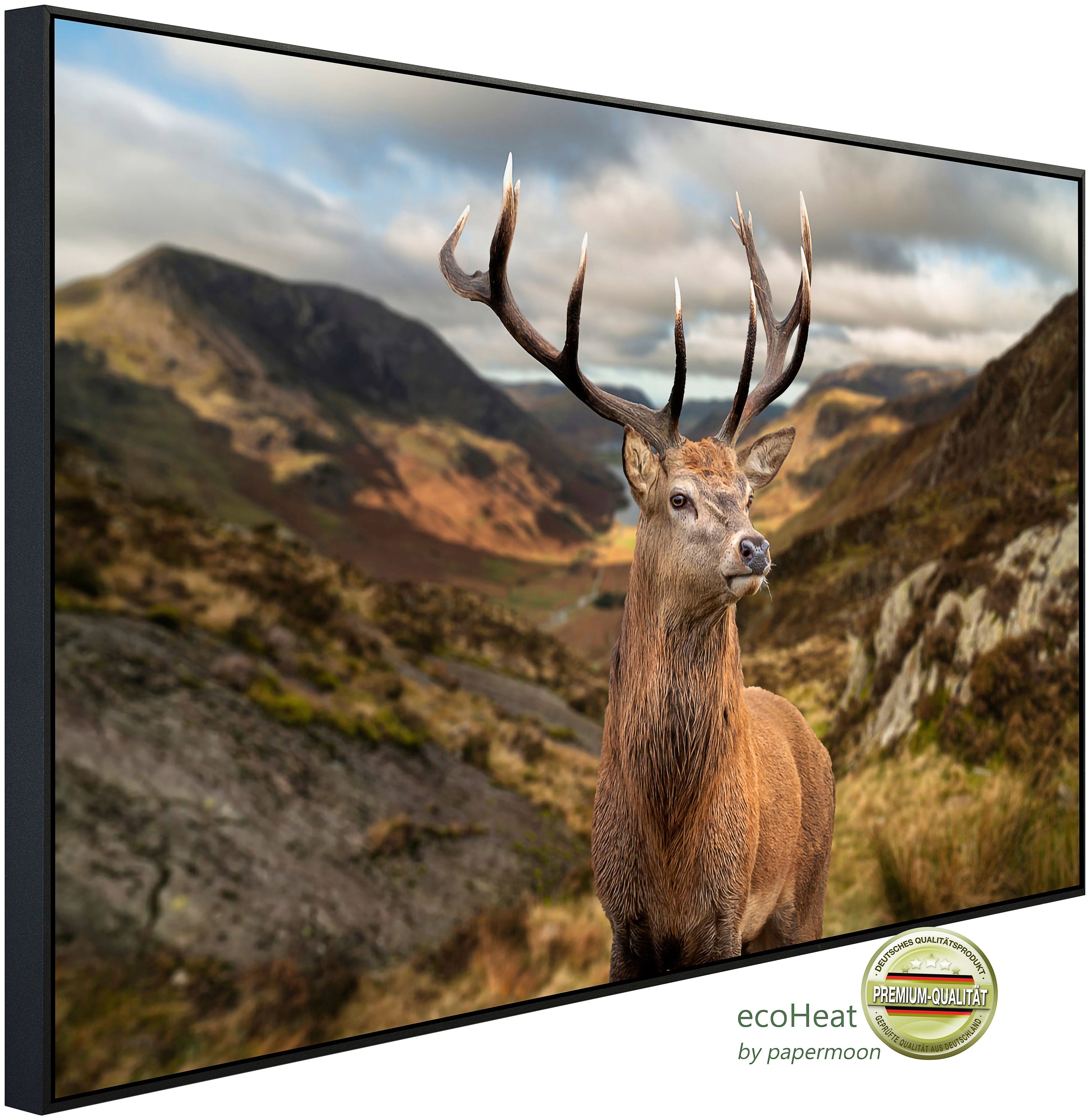 Infrarotheizung Hirsch in Landschaft