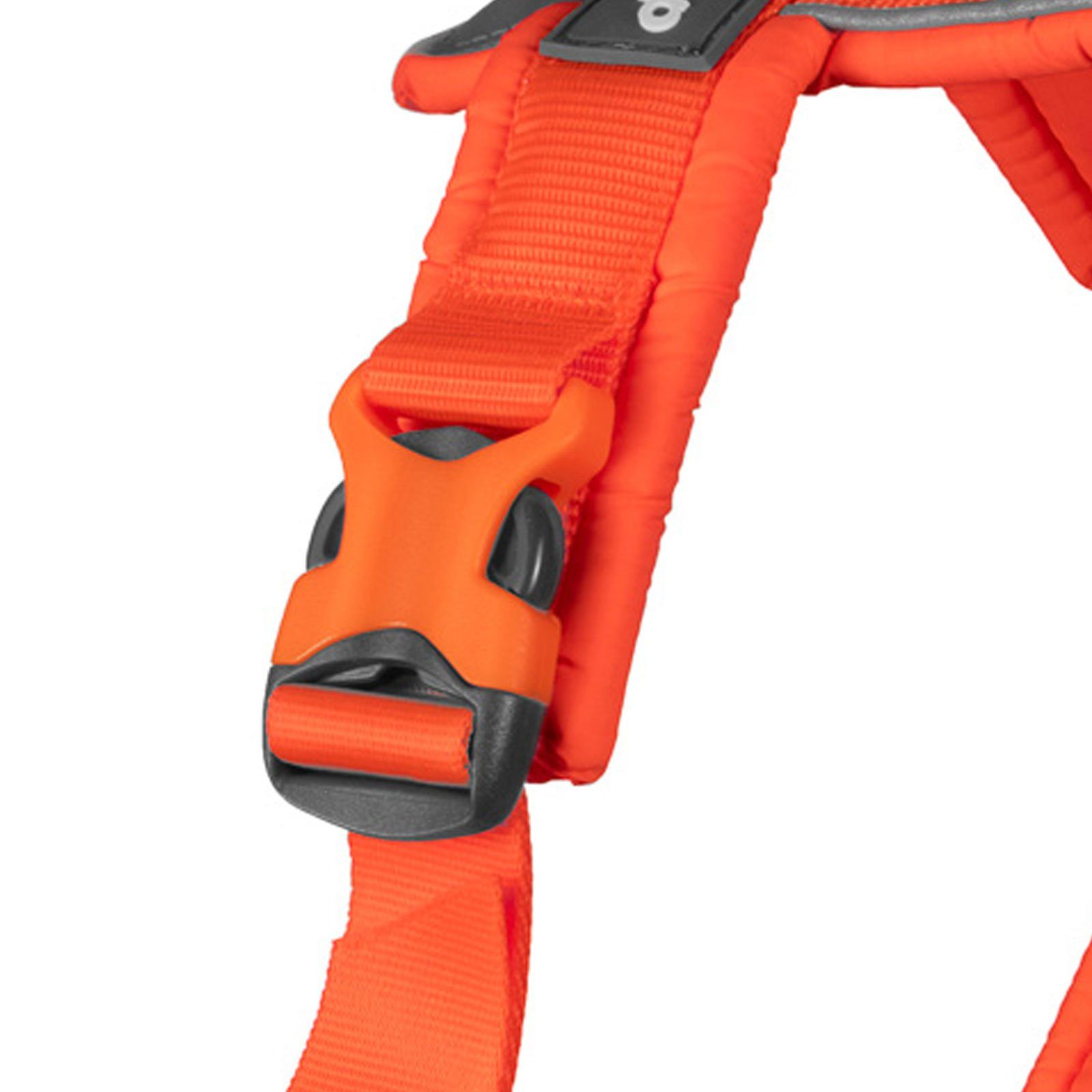 Non-stop dogwear Hunde-Geschirr LINE HARNESS 5.0, günstig online kaufen