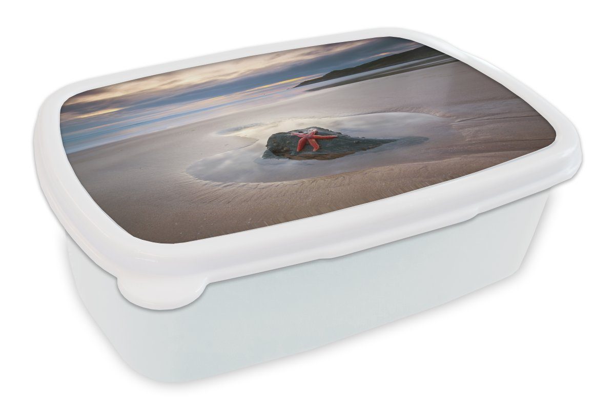MuchoWow Lunchbox Seestern - Strand - Sonne, Kunststoff, (2-tlg), Brotbox für Kinder und Erwachsene, Brotdose, für Jungs und Mädchen weiß