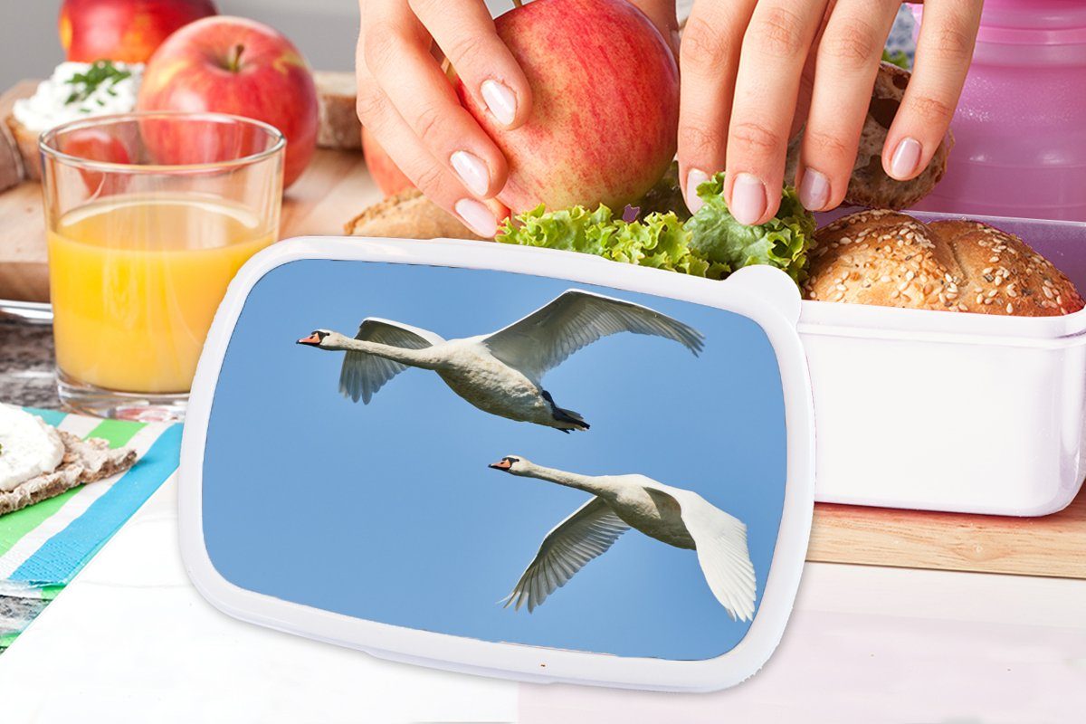 - Brotdose, - Kunststoff, (2-tlg), Schwan für Lunchbox MuchoWow Himmel für Blau, und und - Erwachsene, weiß Vogel Mädchen Kinder Brotbox Jungs